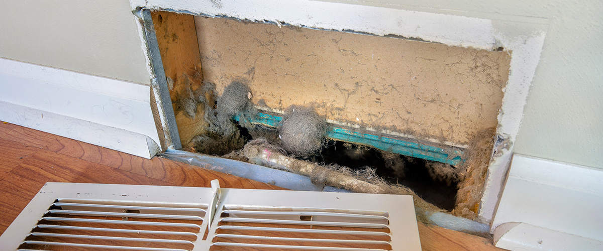 Spring Cleaning for Your Air Ducts: Breathe New Life Into Your Middle Georgia Home