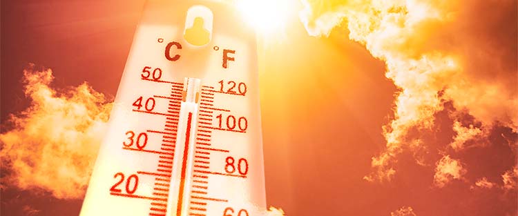 Stay Cool & Keep Your AC Running Strong During the Heat Wave